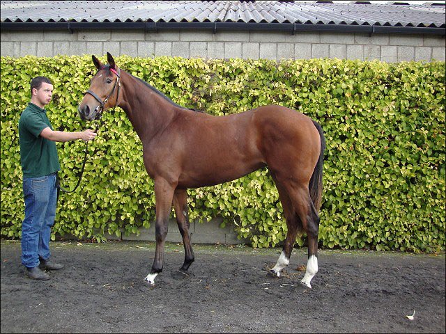 Veronica Best wins maiden at Milan, Italy