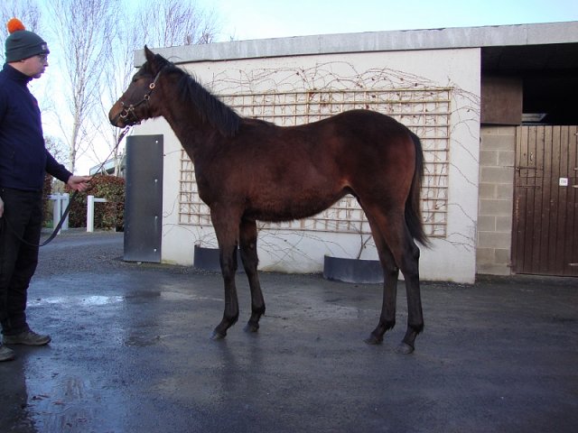 All In The Mind second at Leopardstown on 8th May 2022