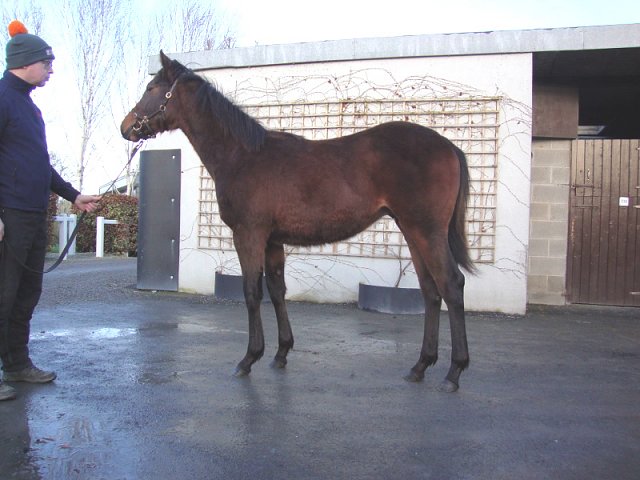 All In The Mind wins at Warwick Farm on 21st August 2024