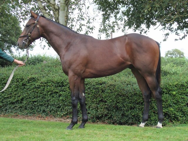 Alotaibi wins on racecourse debut at Newbury on 13th August 2021