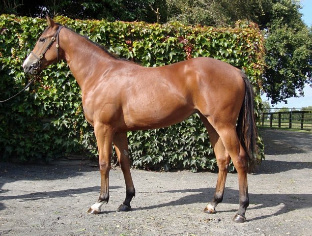 Al Saariyah second at Haydock on 28th May 2021