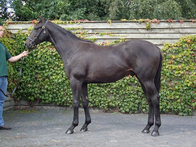 Altaayil second at Epsom