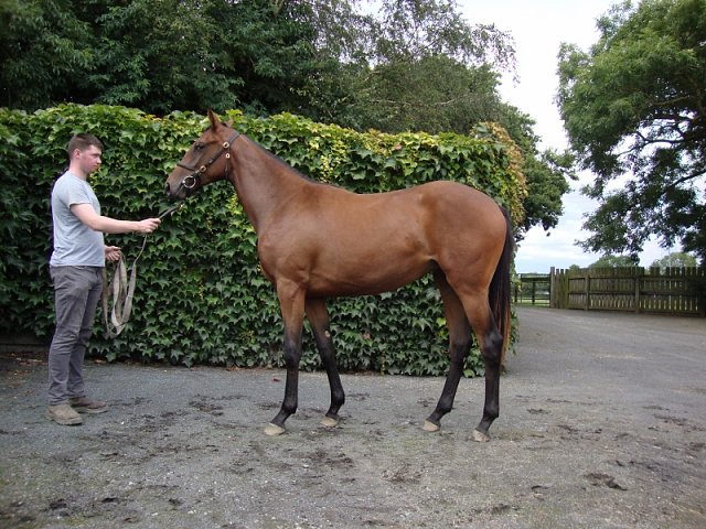 Ashtanga third at Salisbury on 29th September 2022