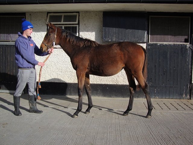 Ashtanga third at Salisbury on 29th September 2022