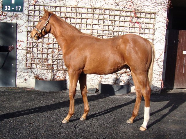 Asmen Warrior third at Epsom on 28th April 2026