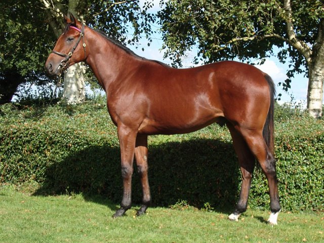 Belgravian second at Catterick on 23rd April 2025