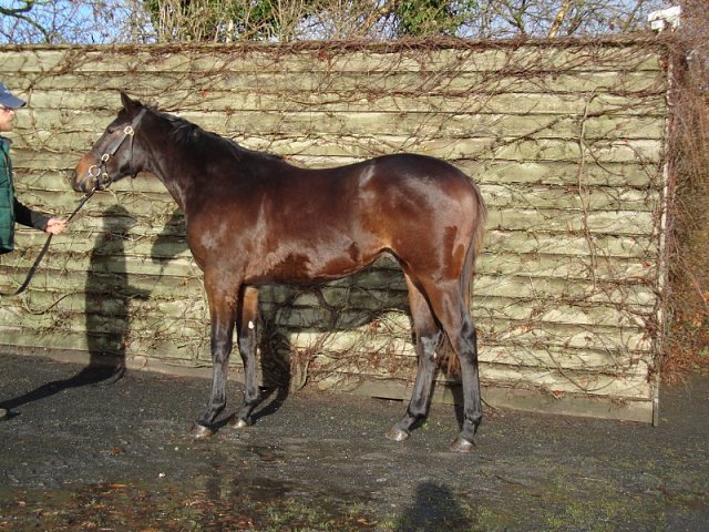 Bowling Russian wins at Lingfield on 17th February 2020