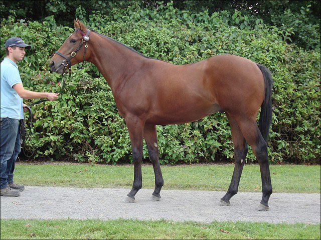 Buckland second at Ascot