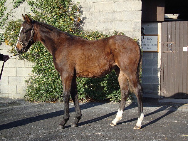 California Cherish wins at Happy Valley