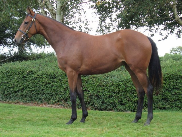 Cappoquin second at Carlisle on 7th September 2022