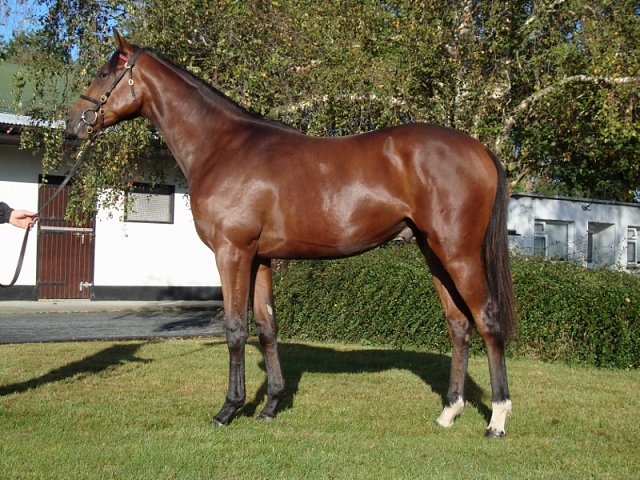 Captain Potter second at Pontefract on Monday 9th June 2025