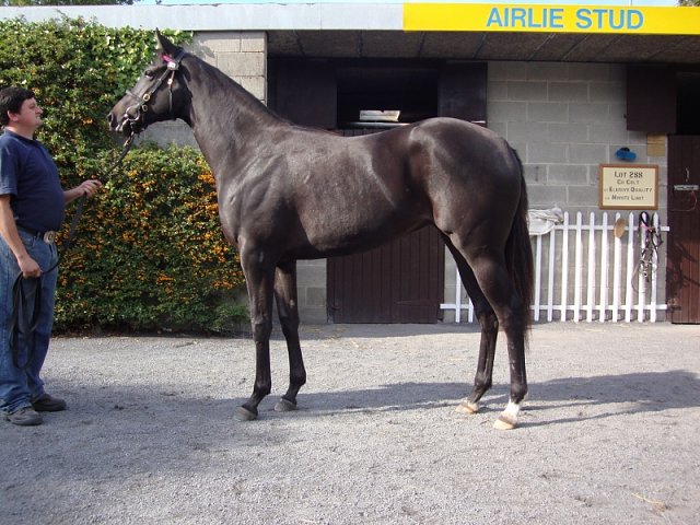 Cheerfilly second at Musselburgh