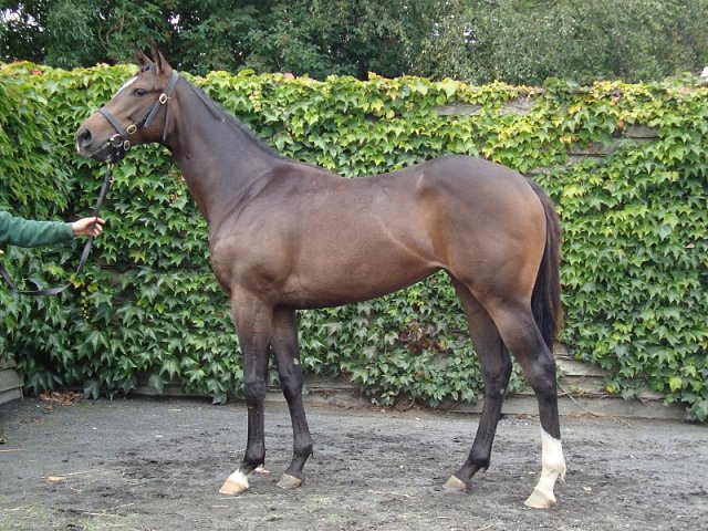 Chiavari second at Chepstow on 29th June 2021