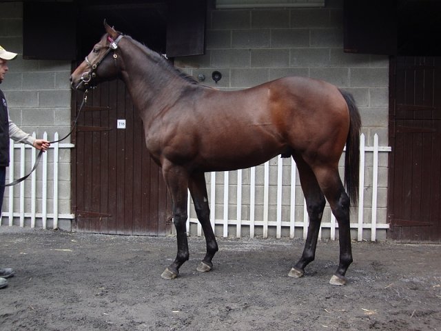 Completion second at Pontefract on 19th August 2018
