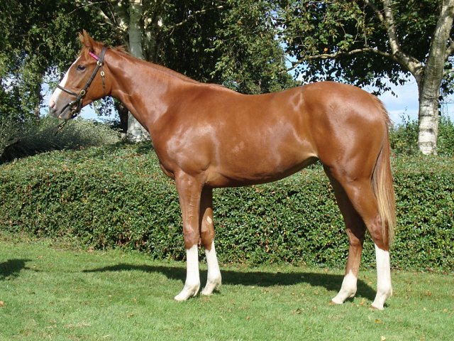 Consent second in Group 3 at Deauville on 17th August 2025