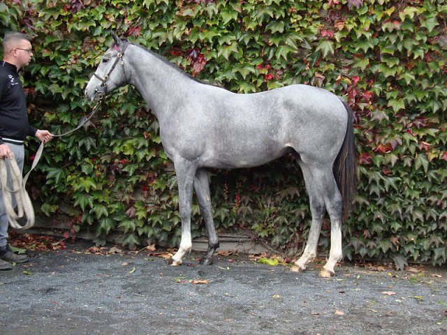 Dark Shift wins at Nottingham on Saturday 8th May 2021