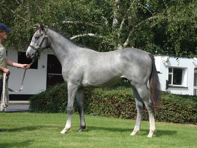 Dark Shift wins at Ascot on 3rd September 2021