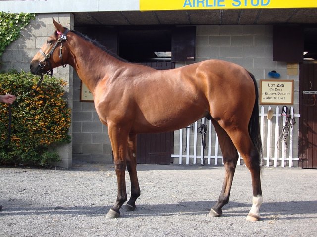 Dark Titan wins at Wolverhampton