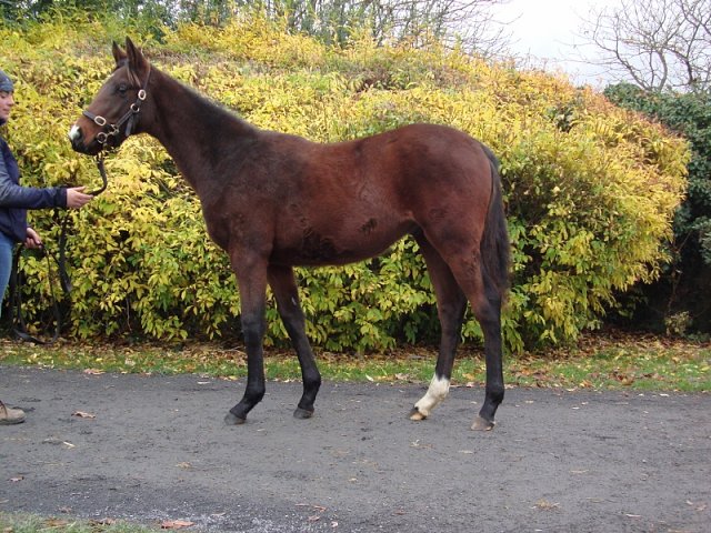 Deputy wins at Lingfield on 31st July 2021