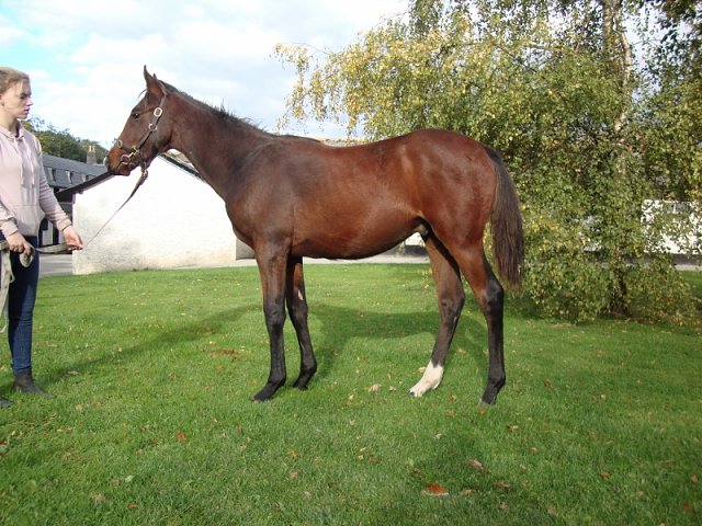 Deputy wins at Doncaster on 22nd October 2022