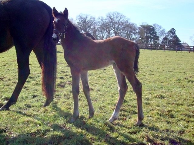 Deputy wins at Thirsk on 12th September 2022