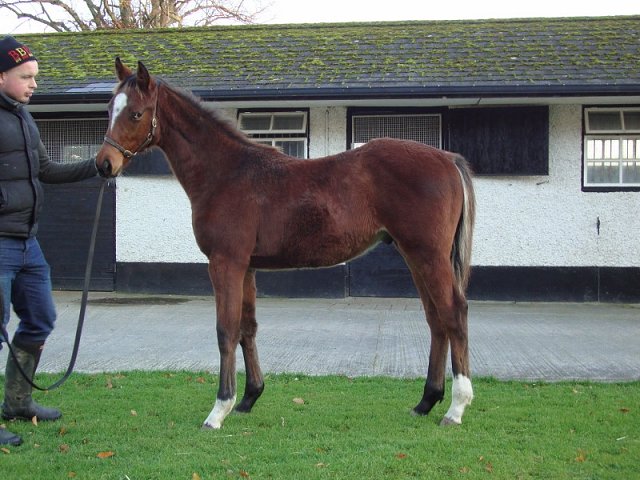 Donnelly's Rainbow second at Musselburgh on 10th July 2020