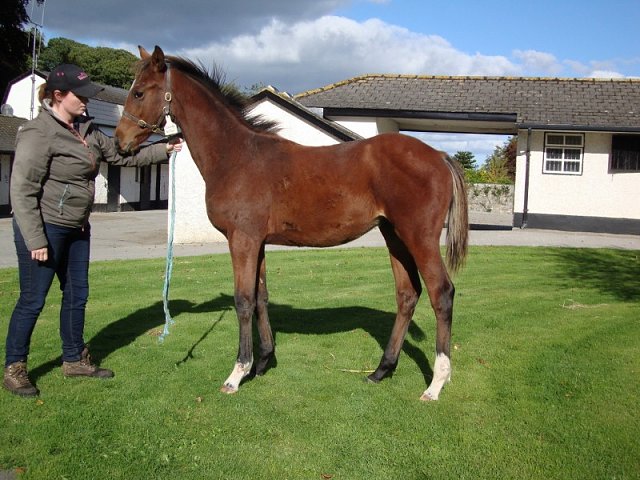 Donnelly's Rainbow third at Musselburgh on 4th May 2018