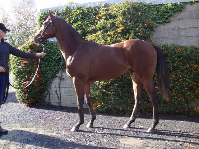 Downdraft wins at Navan on 2nd June 2018