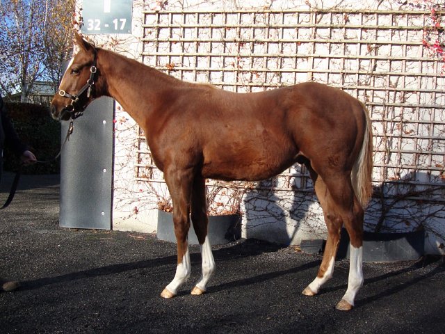 Dublin's Knight second at Gulfstream Park on 25th January 2025