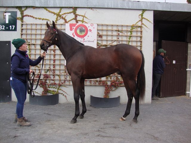 Eagle Court second at Salisbury on 15th July 2023
