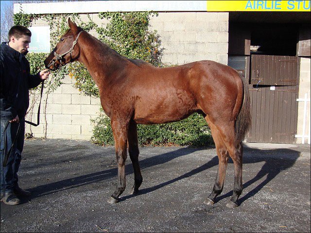 Eastern Impact second at Newmarket