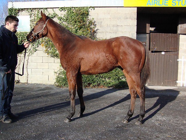 Eastern Impact second at Newmarket