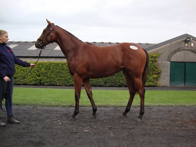 Flame of Freedom third at Windsor on 27th June 2021