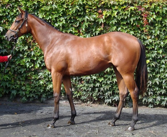 Flame of Freedom wins at Brighton on 13th July 2021