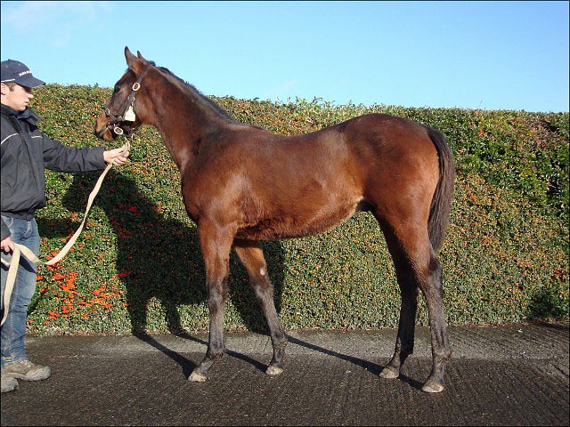 Fortieth And Fifth second in Maiden