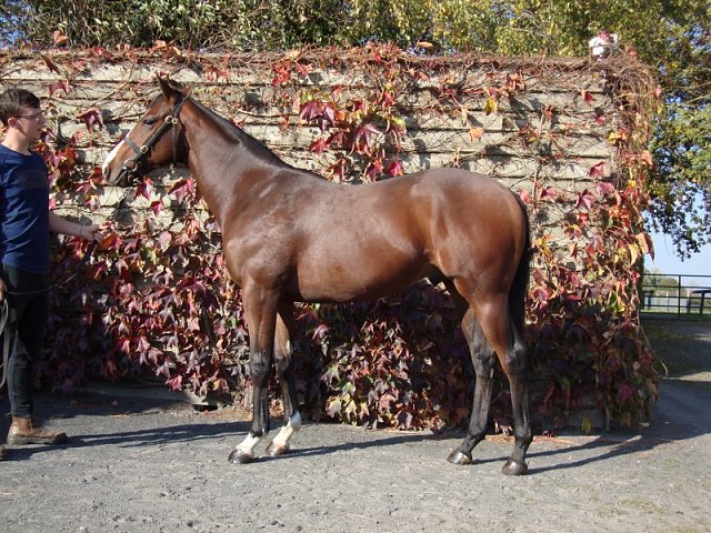 Freedom Flyer wins at Thirsk on Tuesday 4th April 2023