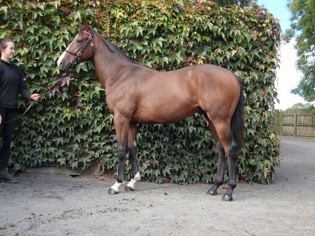 Freedom Flyer wins at Thirsk on Tuesday 4th April 2023