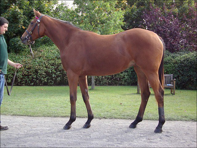 Gemstone second in Group 3