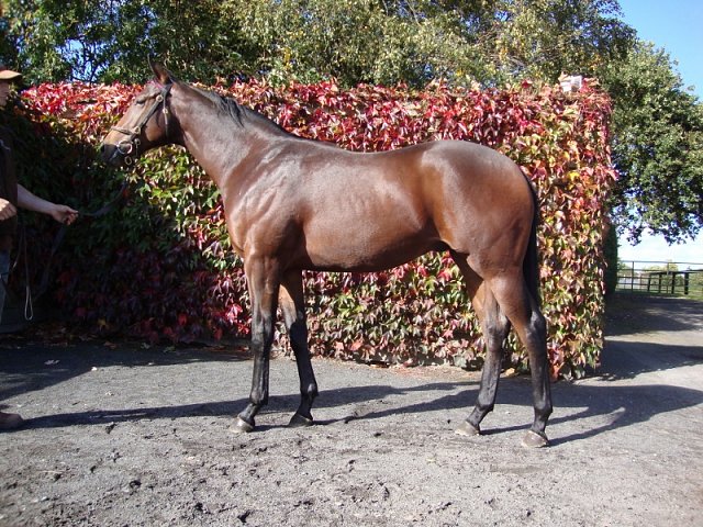 Global Hope third at Yarmouth on 25th August 2019