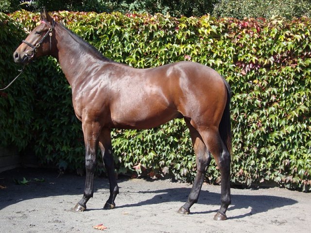 Global Hope wins at Newbury on 11th June 2020