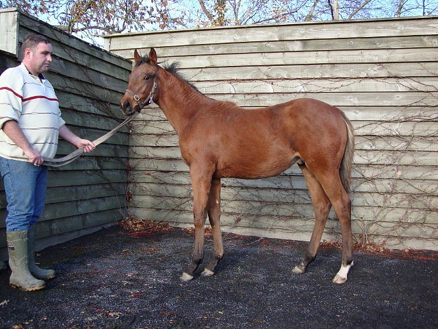 Gold Hunter wins at Salisbury