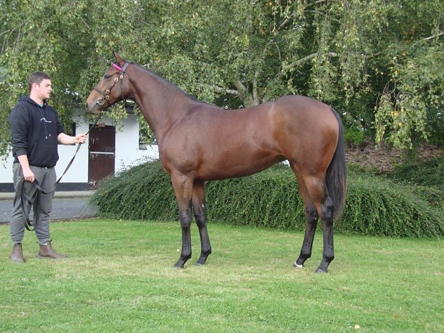 Gotta Skedaddle second at Chantilly on 1st July 2023