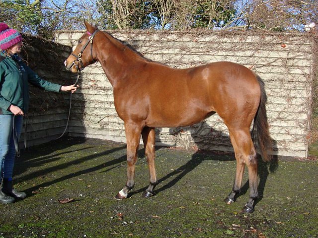 Happy Hadeda wins at Kempton on Friday 20th September 2024