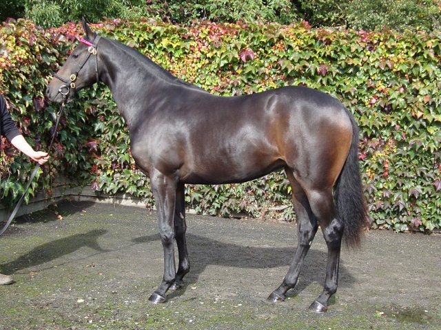 Haumea second at Chelmsford on 14th October 2023