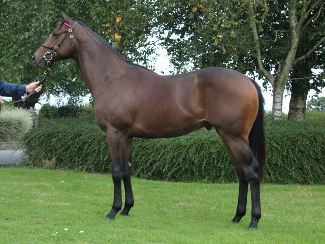 Holy See wins at Gowran Park on 9th April 2026