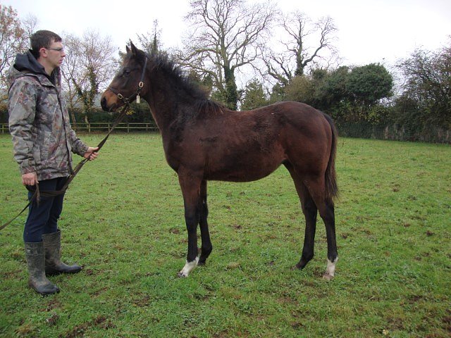 Human Evolution third at Compiegne on 29th March 2024
