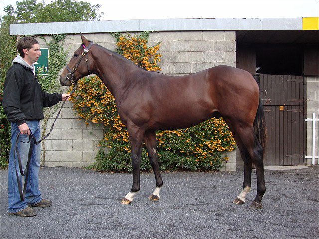 Hyperlink second in Chester maiden