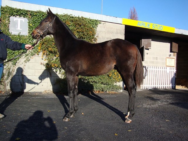 In The Red wins at Kempton on 11th March 2020