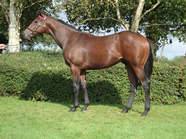 Invictus Gold wins at Newmarket on 3rd May 2025
