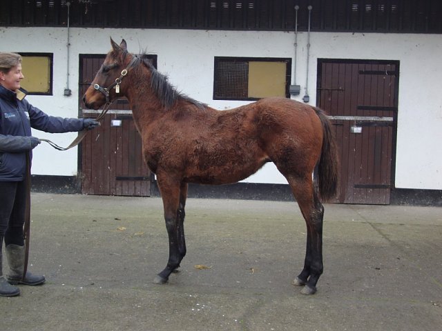 Invictus Gold wins at Newmarket on 3rd May 2025